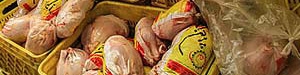 مرغ کمتر از ۵۰۰۰ تومان ارزانی نیست