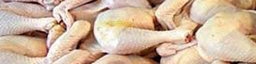 تا مهر سال92 گوشت مرغ داریم/گوشت قرمز برزیلی آلوده نیست