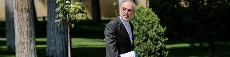 صالحی: غنی سازی 20 درصد را امروز داوطلبانه تعلیق می کنیم