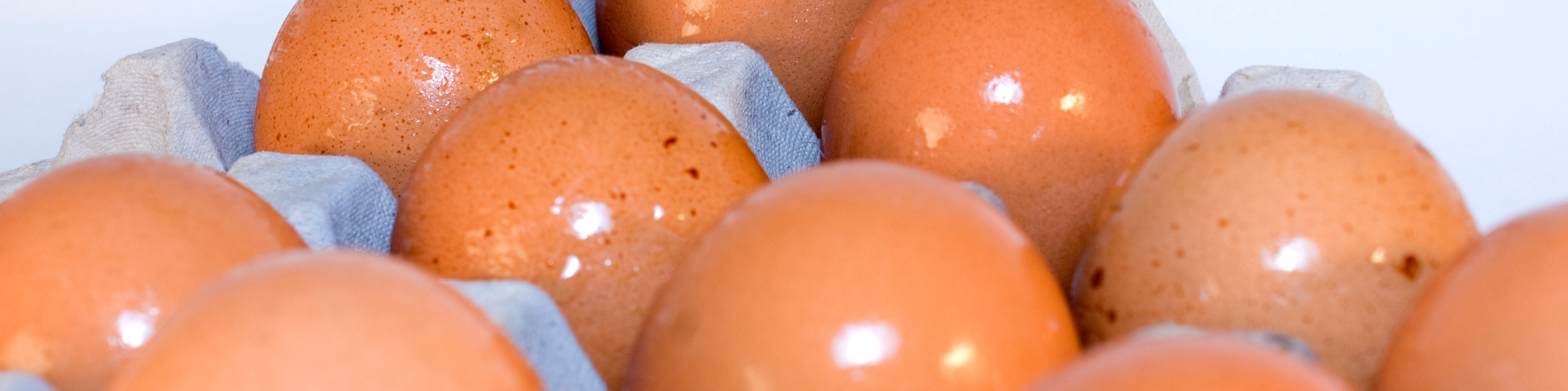 گرانی نهاده های دامی دقیقه ای شد