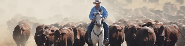 وضعیت تولید و تجارت جهانی گوشت دام و طیور در سال 2015