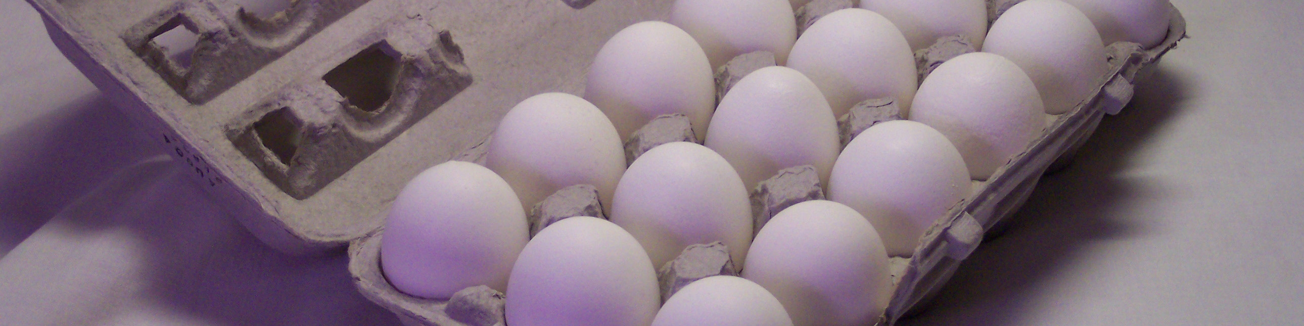 صادرات ۷۰ هزار تن تخم مرغ در سال ۹۳