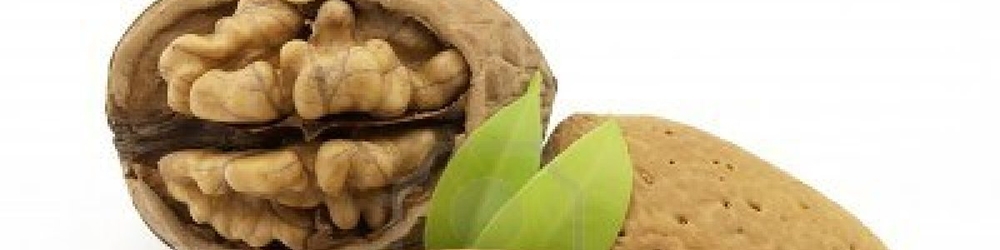 بازار جهانی بادام و گردو