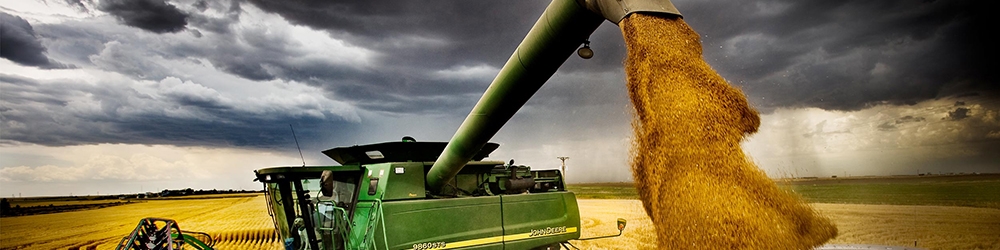 سازمان جهانی خواربار: روند نزولی قیمت مواد غذایی در بازارهای جهان ادامه دارد