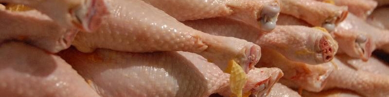 قیمت مرغ در میادین به ۴۸۰۰ تومان رسید