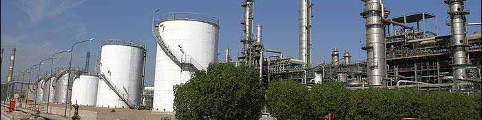 ایالات متحده، پیشرو در زمینه تامین خوراک