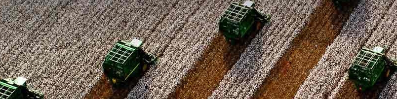 بررسی روند قیمت پنبه در بازارهای آسیایی