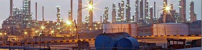 تمرکز بر خوراک؛ شاه‌ کلید رشد تقاضا