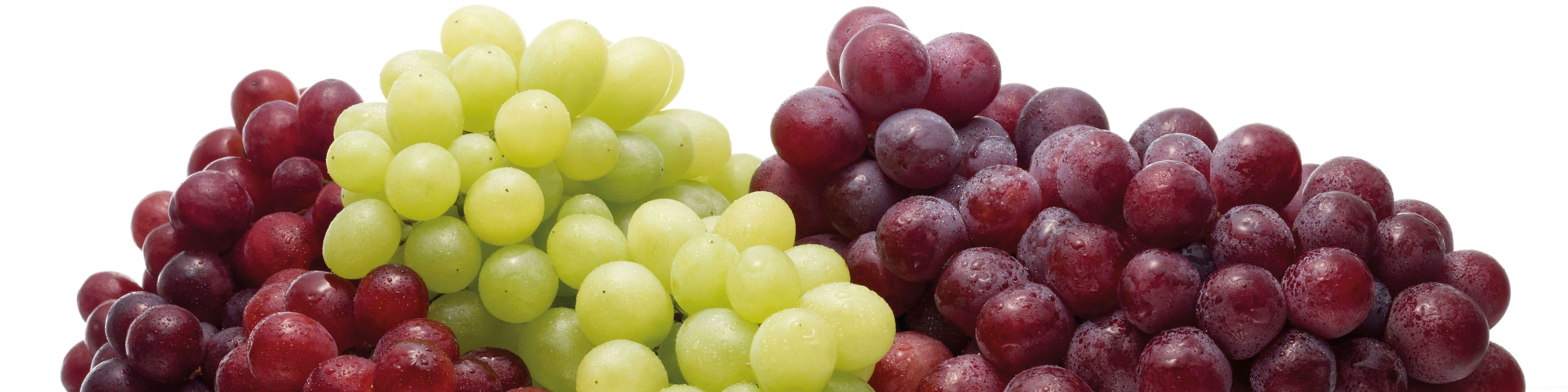 تولید و تجارت جهانی کشمش در سال 2015/16