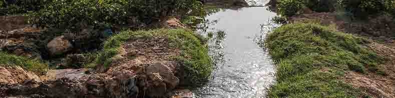 اجاره زمین‌های کشاورزی برزیل به ایران