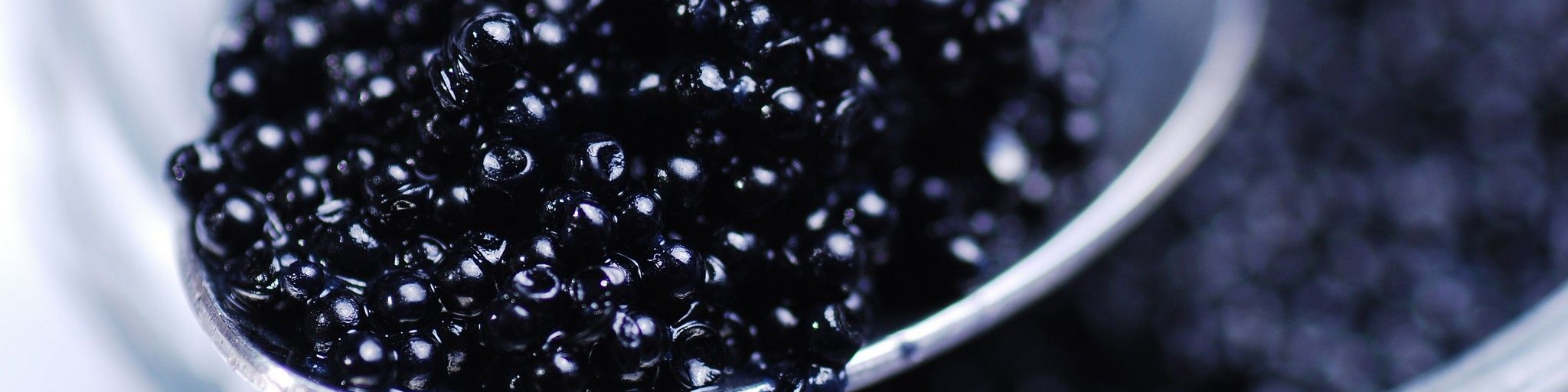 صادرات خاویار، پسته و فرش ایران به آمریکا آزاد شد