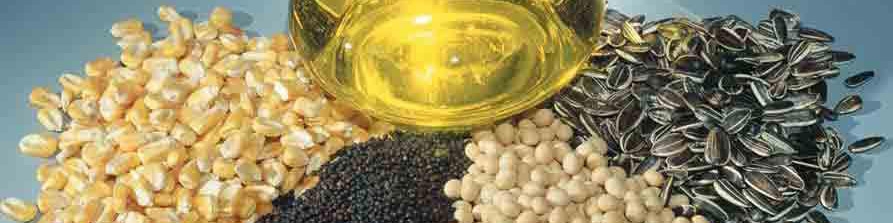 اختصاص ۲۰۰ میلیارد تومان به کشت‌ دانه‌ روغنی از عوارض واردات