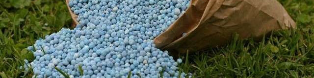 استقبال از عرضه‌های مواد پلیمری بورس کالا