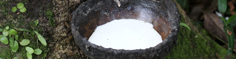 تاریخچه لاستیک‌های طبیعی و مصنوعی