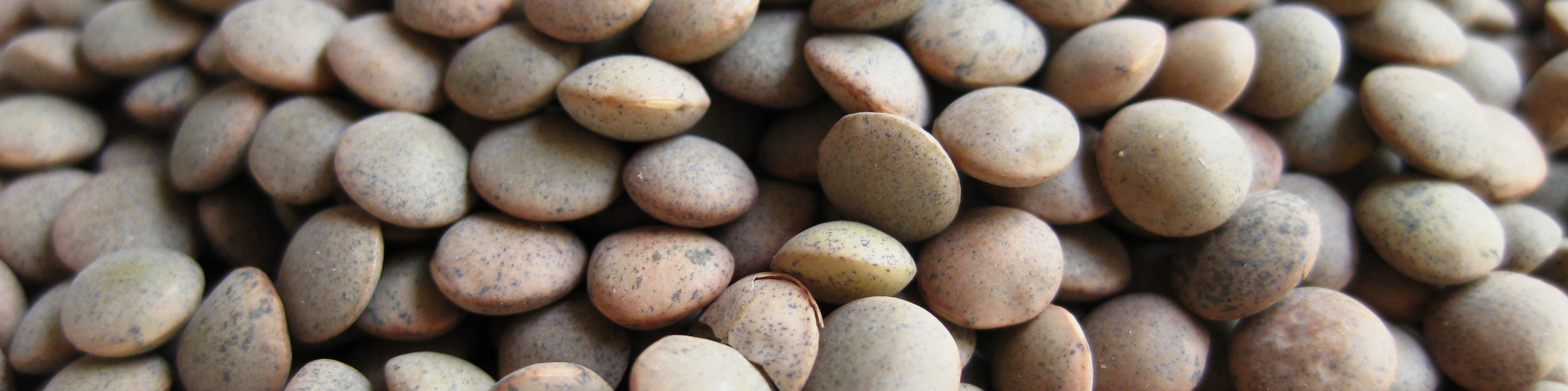 حبوبات خارجی تا کی مهمان سفره‌های ایرانی است؟