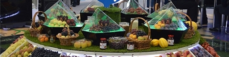 نمایشگاه بین‌المللی میوه و سبزیجات ازبکستان