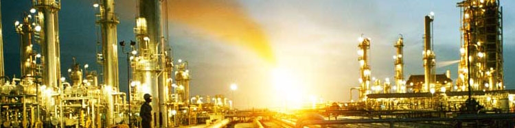 نگاهی به ۱۴ پتروشیمی بورسی در سال ۹۴