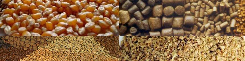 تنش قیمتی نهاده‌های دامی ظرف 10 روز آینده رفع می‌شود