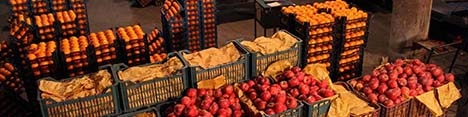 پرتقال ایران به روسیه و ارمنستان می‌رود/تولید ۴.۷ میلیون تن مرکبات