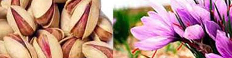 افزایش صادرات پسته و زعفران خراسان رضوی