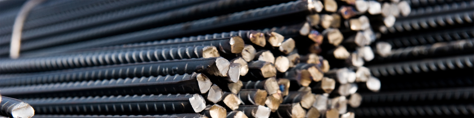 فولادی‌ها از دولت دوازدهم چه انتظاری دارند؟