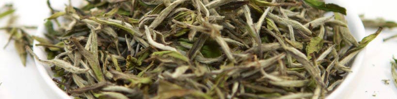 نرخ هر کیلو چای سفید چند؟