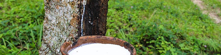 ایران سومین واردکننده کائوچو از مالزی در ماه مارس شد