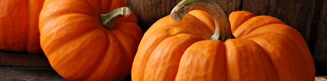 کدو حلوایی ایران در راه امارات و روسیه