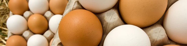 تخم‌مرغ اجازه واردات گرفت