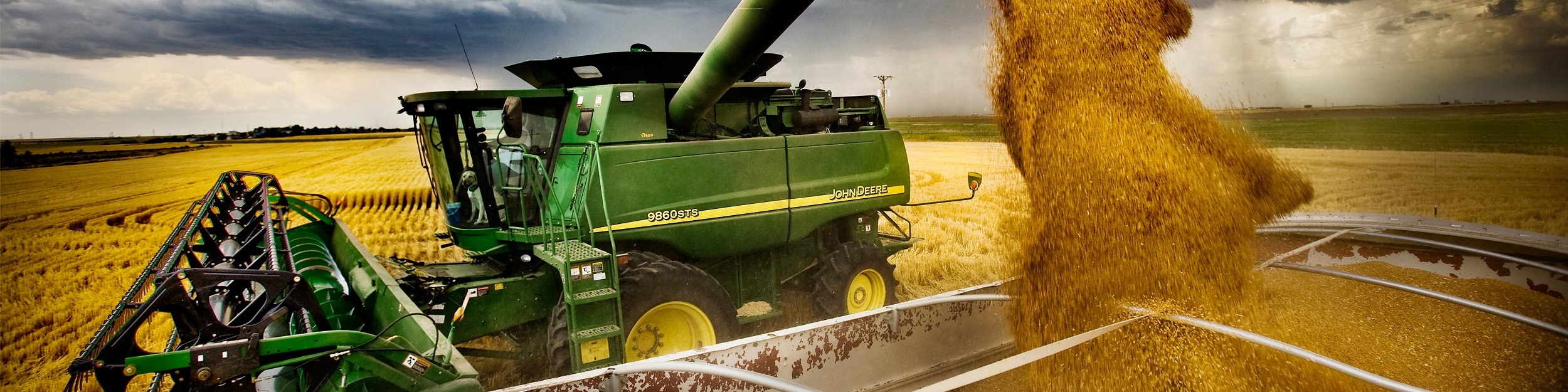 افزایش تولید جهانی گندم در سال جاری