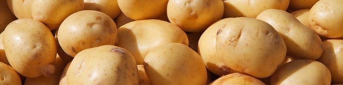 سیب‎زمینی سرِ زمین ۵۰۰ تومان