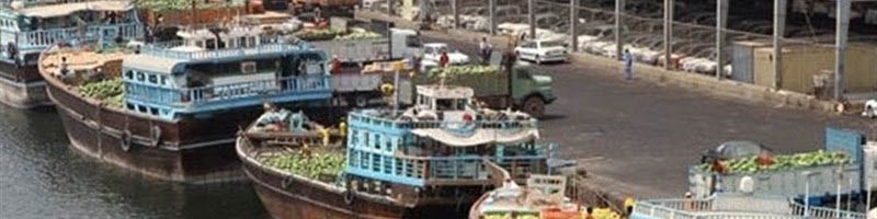 صادرات میوه از ۱۵ آبان با شرایط خاص/صادرات فله‌‎ای با لنج چوبی ممنوع شد