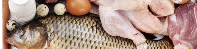 ثبات یک‌ماهه قیمت مرغ در بازار / 8600 تومان قیمت منطقی و بدون تغییر