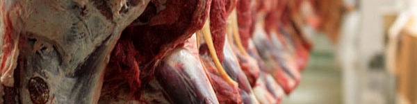 ثبات بازار گوشت قرمز در آستانه محرم