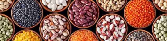 افزایش تولید غلات در سال ۲۰۱۸