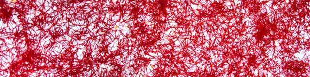 جولان زعفران‌های تقلبی در بازار/ از گوشت گاو تا عسل و چربی