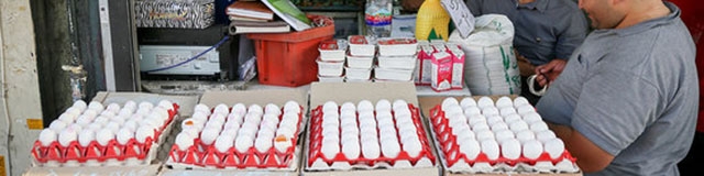 تداوم بی‌سامانی بازار نهاده‌های دامی/ قیمت تخم‌مرغ افزایش یافت