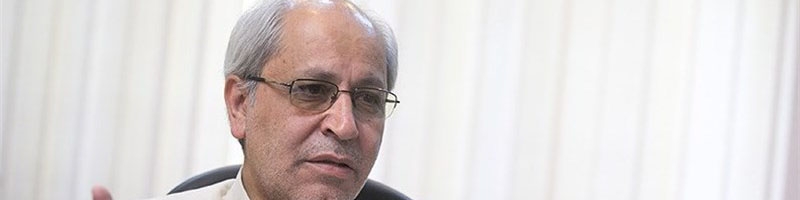 نیلی: یارانه باید ۱۸ هزار تومان می‌بود نه ۴۵ هزار