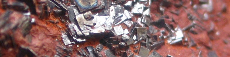 بازار سنگ‌ آهن سال نو را صعودی شروع کرد