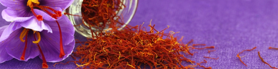 اجرای طرح خرید توافقی زعفران حضور دلالان در بازار را به همراه داشت