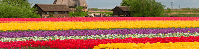 با وجود برابری مساحت، چرا مازندران هلند نشد