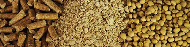 گران شدن 20 درصدی کنجاله سویا