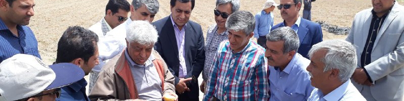 دولت مشکل صادرات محصولات کشاورزی را رفع می‌‌کند