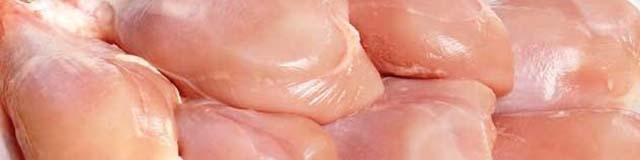 قیمت مرغ کاهش نیافت