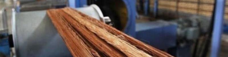 صادرات 36 میلیون دلار الیاف از اراک