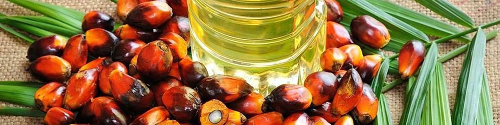 ۱۲هزار تن روغن پالم تاریخ مصرف گذشته وارد کشور شد