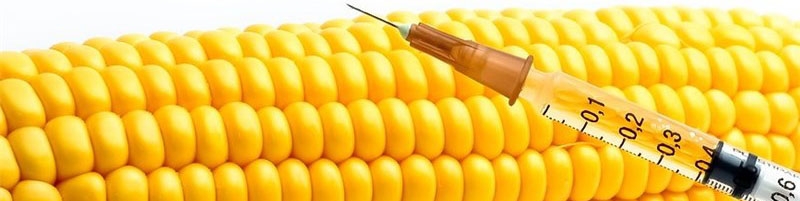 واردات ذرت و سویا تراریخته به صورت انحصاری توسط دو نفر انجام می‌ٰشود