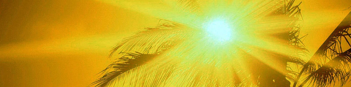 موج‌های مرگبار گرما در آینده بیشتر می‌شوند