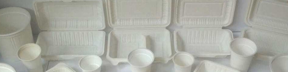 افزایش چند برابری قیمت ظروف یک بار مصرف/ کسی حریف پتروشیمی‌ها نیست