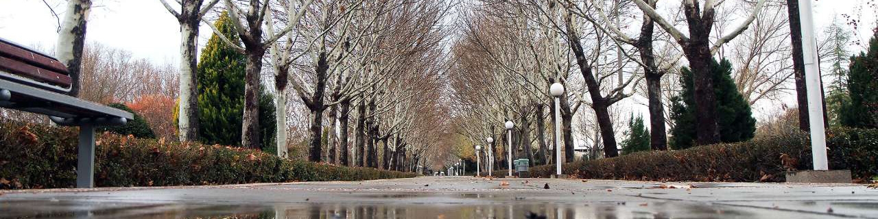 تداوم بارش‌ها و کاهش 10 درجه‌ای دما